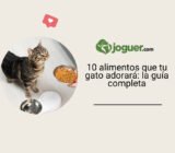 10 alimentos que tu gato adorará: la guía completa
