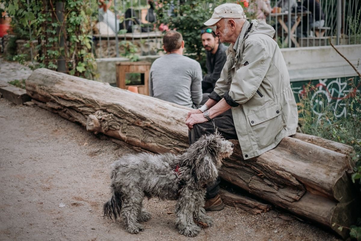 le chien, que des bénéfices sur la santé de l'homme