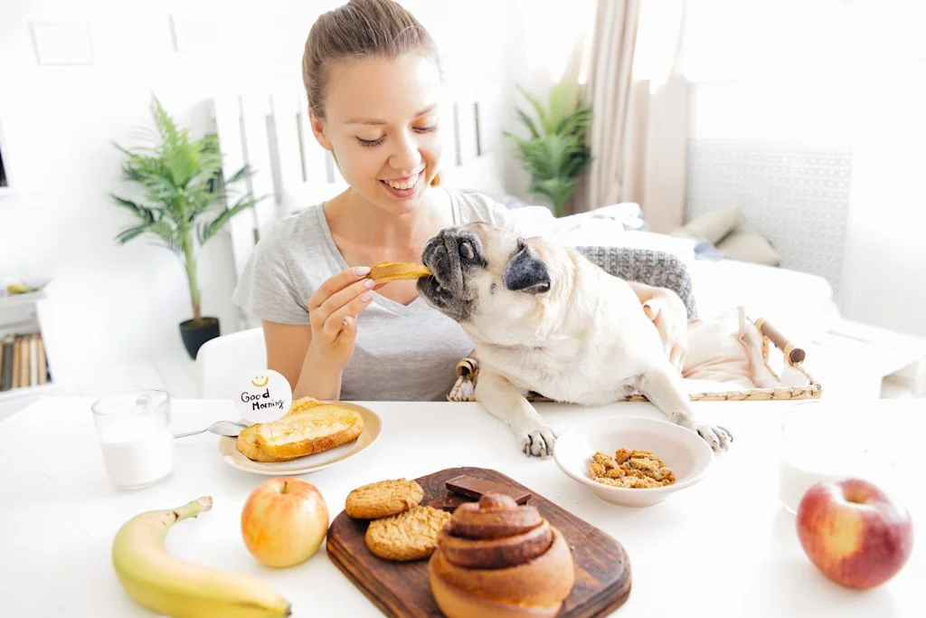 Fruit préféré chien