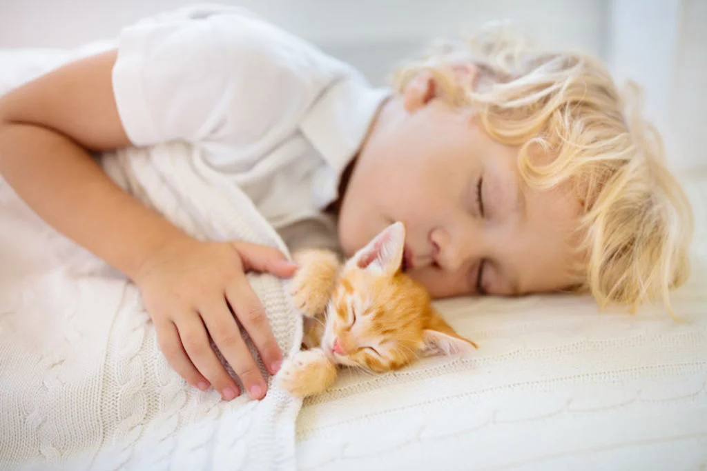 enfant qui dort avec un chaton roux