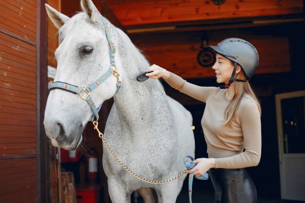 s'occuper des chevaux