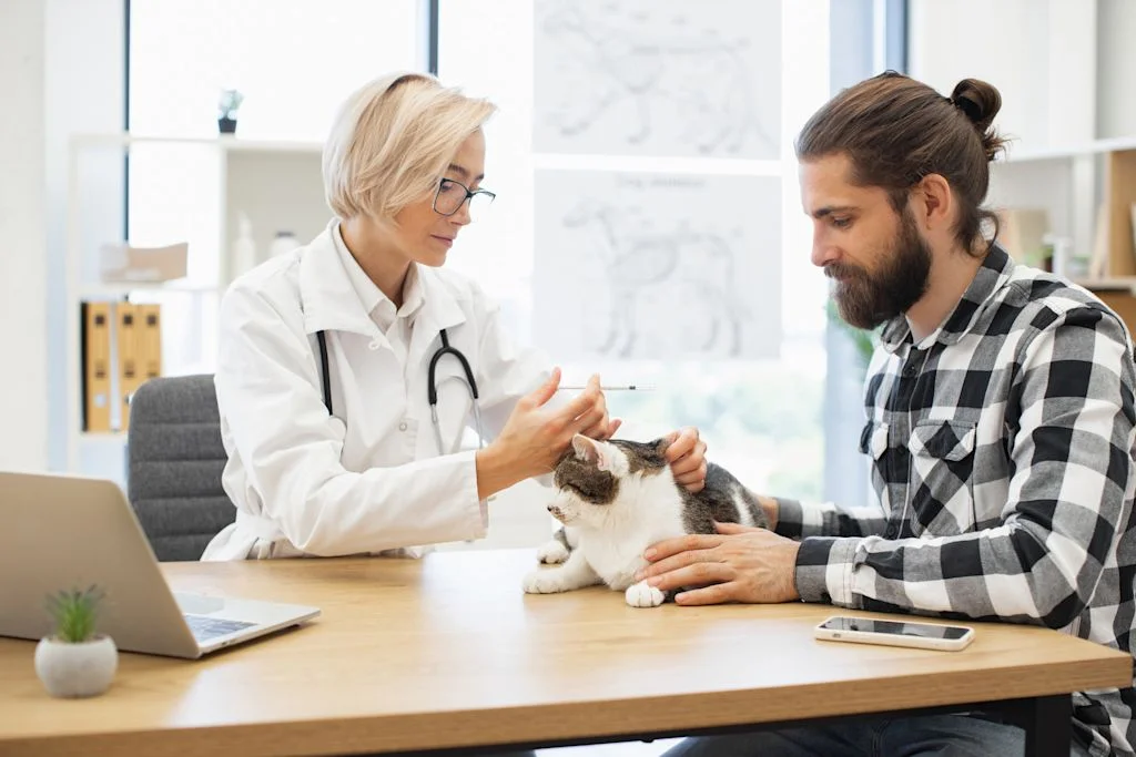 Veterinario gato