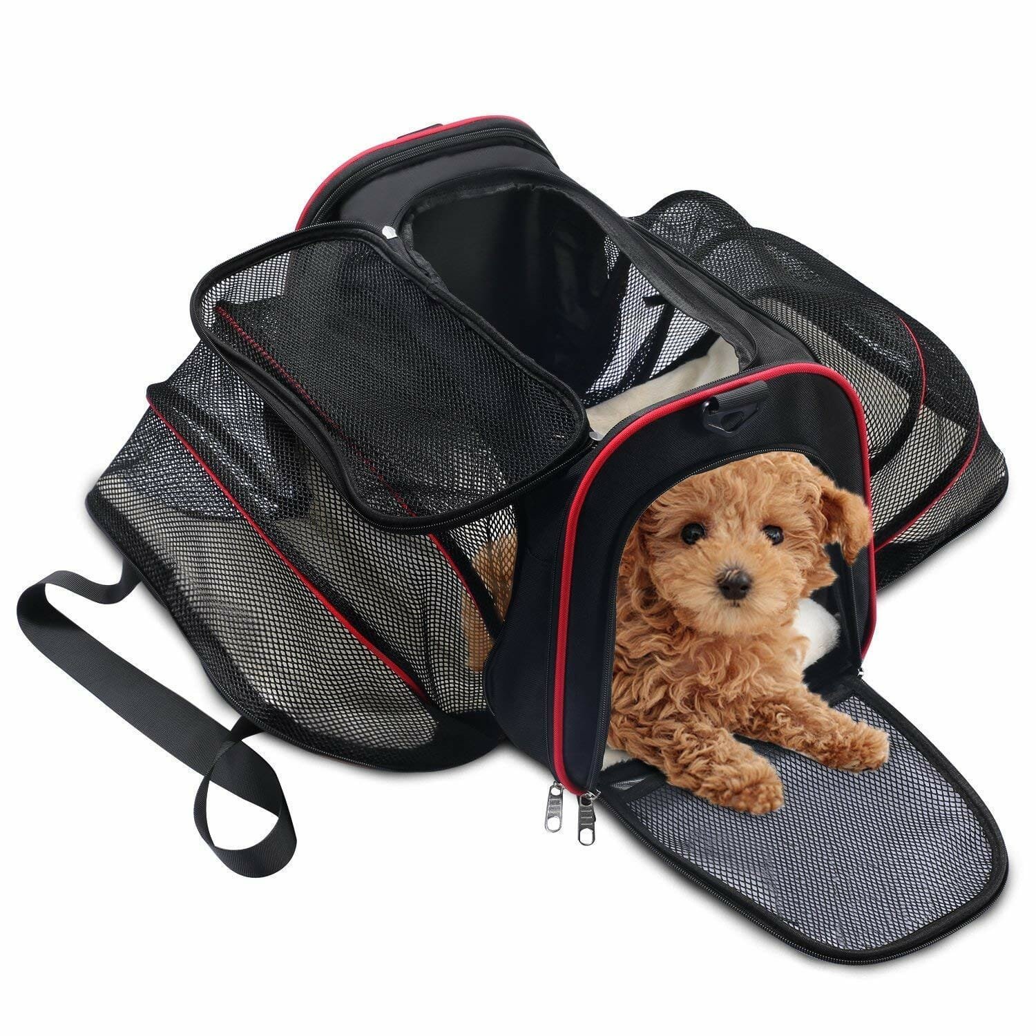 Comment choisir un sac de transport pour chien