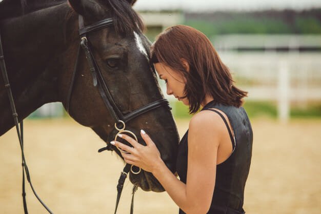 prendre soin de son cheval