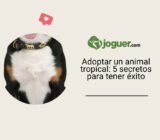Adoptar un animal tropical: 5 secretos para tener éxito