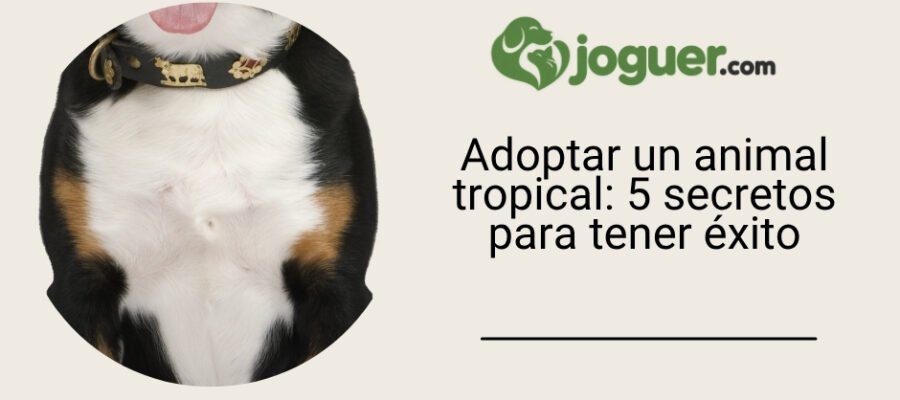 Adoptar un animal tropical: 5 secretos para tener éxito