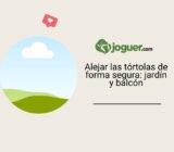 Alejar las tórtolas de forma segura: jardín y balcón