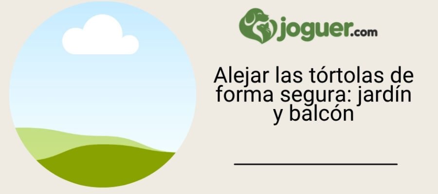Alejar las tórtolas de forma segura: jardín y balcón