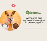 Alergias en perros y gatos: los alimentos que agravan los síntomas