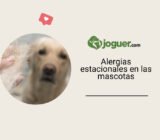 Alergias estacionales en las mascotas