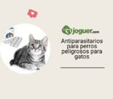 Antiparasitarios para perros: algunos pueden ser muy peligrosos para los gatos