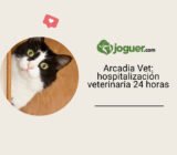 Arcadia Vet ofrece hospitalización veterinaria 24 horas durante las fiestas de invierno, con línea de urgencias activada