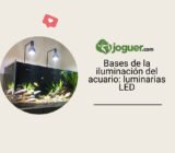 Bases de la iluminación del acuario: luminarias LED