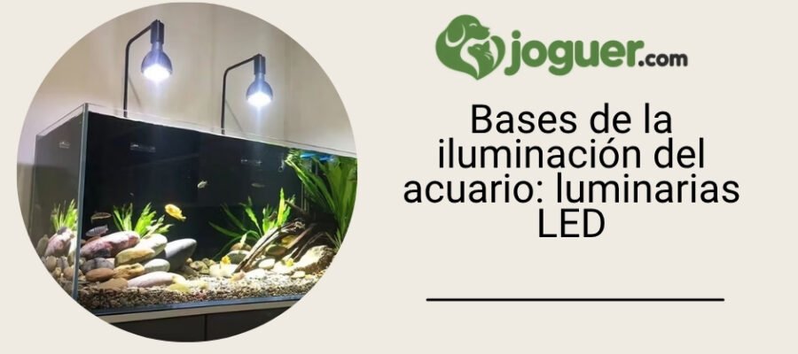 Bases de la iluminación del acuario: luminarias LED