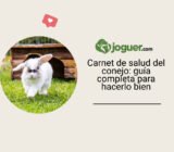 Carnet de salud del conejo: guía completa para hacerlo bien
