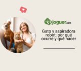 Chat sobre la aspiradora robot: por qué ocurre y qué hacer?