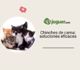 Chinches de cama: guía de soluciones eficaces para deshacerse de ellas
