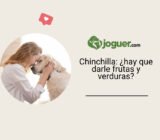 Chinchilla: ¿hay que darle frutas y verduras?
