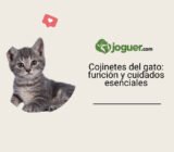 Cojinetes del gato: función y cuidados esenciales