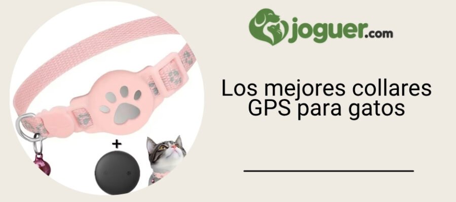 Collar GPS para gatos: Weenect Cats 2, Tractive o Girafus? –