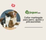 Collar martingale para perro: ajuste y precauciones