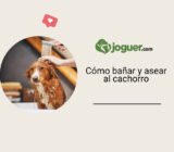 Cómo bañar y asear al cachorro