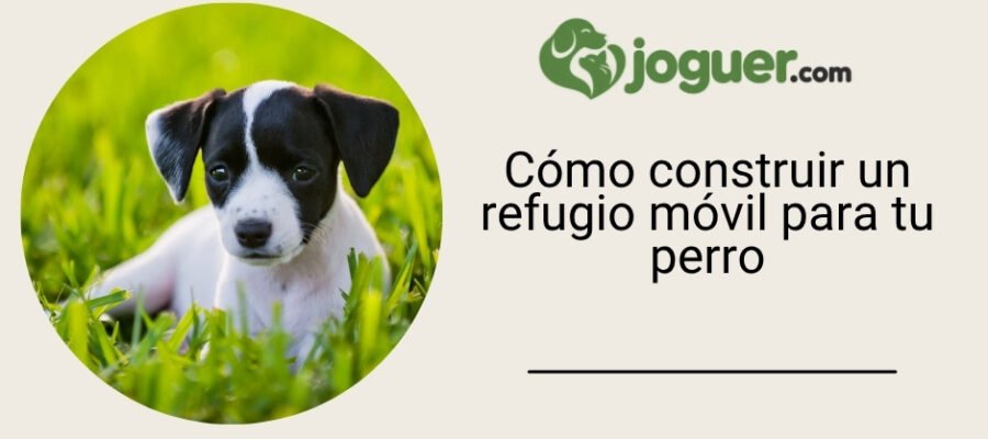 Cómo construir un refugio móvil para tu perro