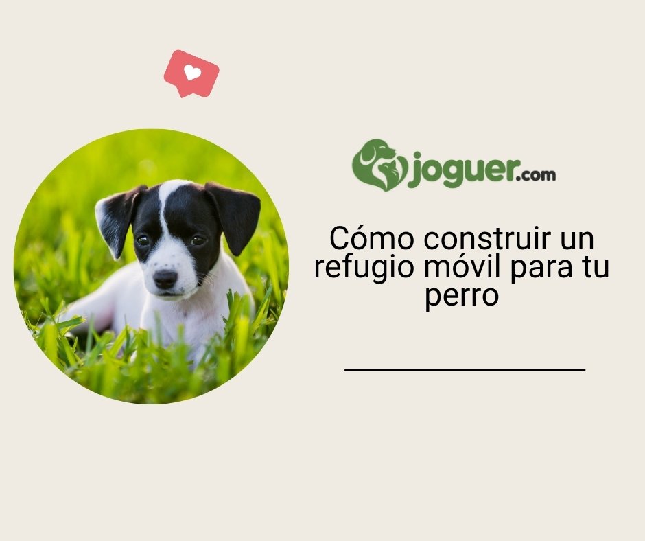 Cómo construir un refugio móvil para tu perro