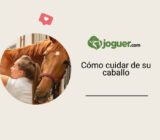Cómo cuidar de su caballo