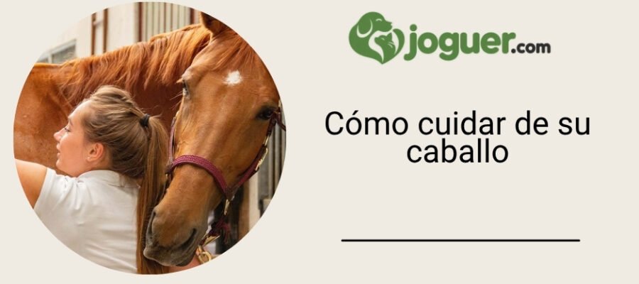 Cómo cuidar de su caballo