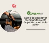 Cómo desincentivar el comportamiento de persecución en tu perro