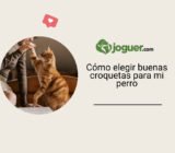 Cómo elegir buenas croquetas para mi perro