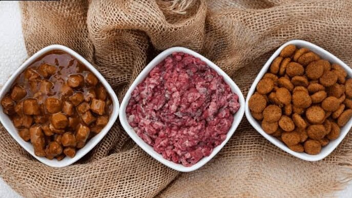 Cómo elegir buenas croquetas para mi perro