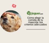 Cómo elegir la comida de tu mascota: los criterios adecuados