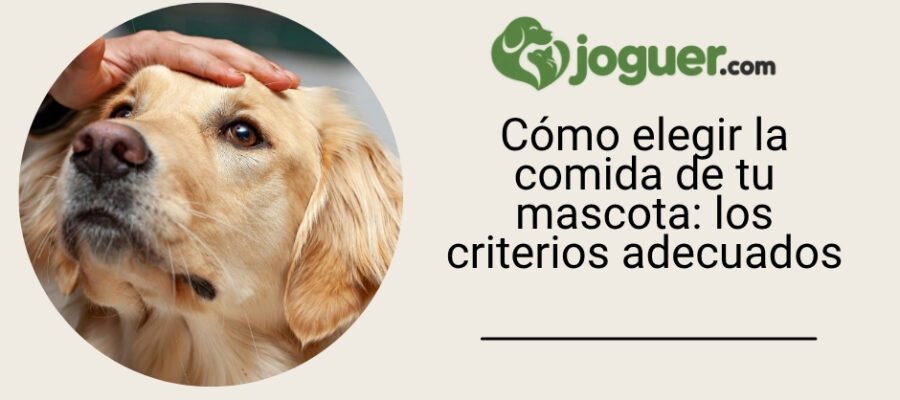 Cómo elegir la comida de tu mascota: los criterios adecuados