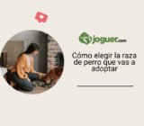 Cómo elegir la raza de perro que vas a adoptar
