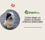 Cómo elegir tu centro ecuestre: los criterios esenciales