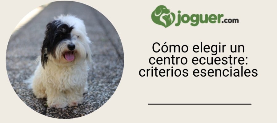 Cómo elegir tu centro ecuestre: los criterios esenciales –