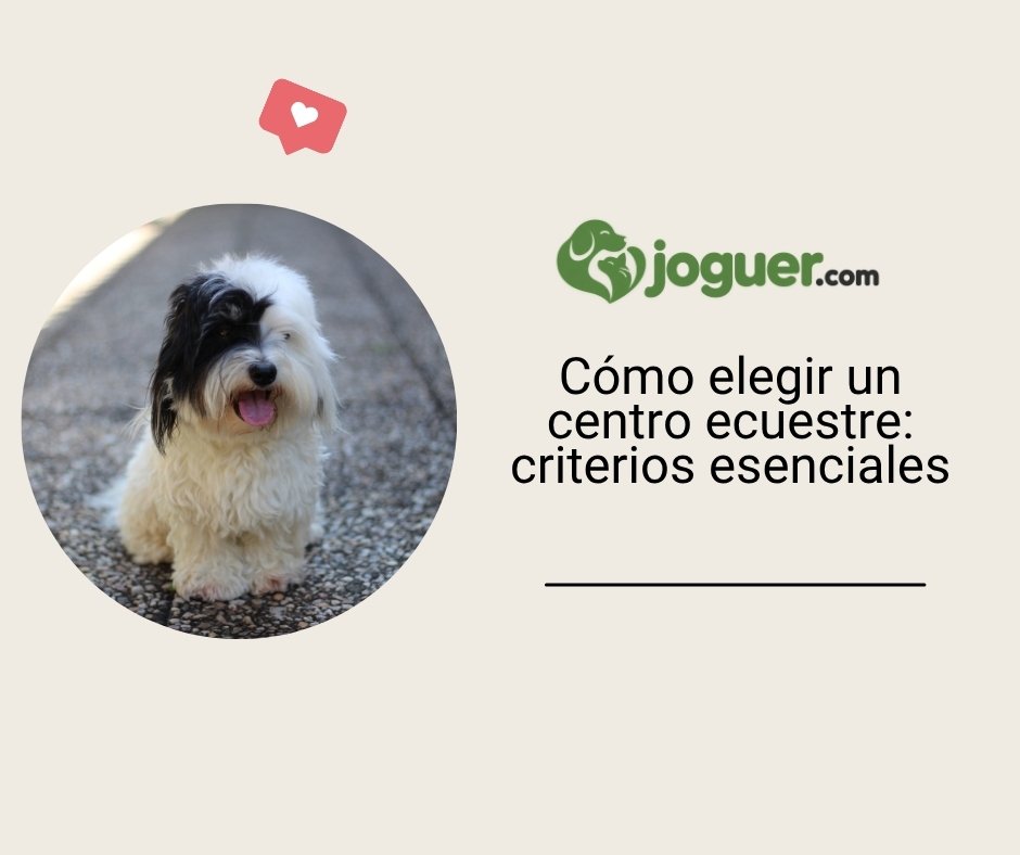 Cómo elegir tu centro ecuestre: los criterios esenciales –