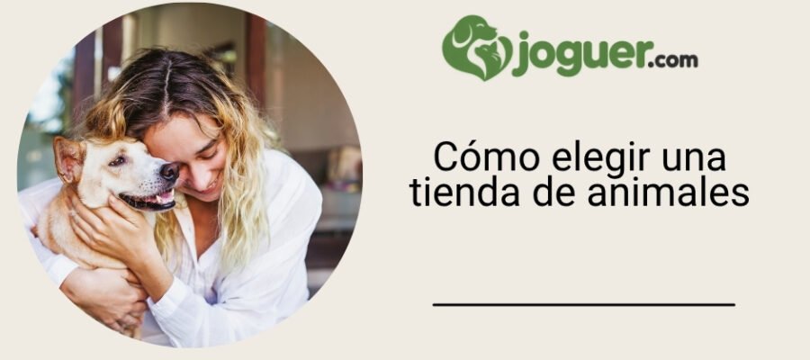 Cómo elegir una tienda de animales: los criterios antes de comprar