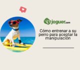 Cómo entrenar a su perro para aceptar la manipulación