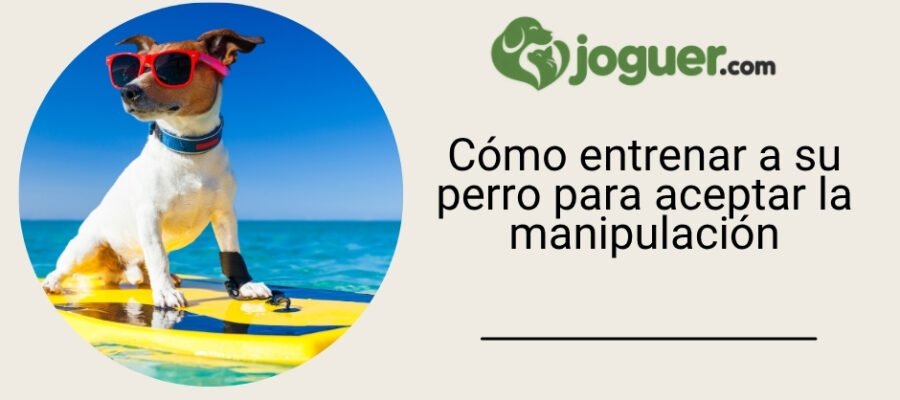 Cómo entrenar a su perro para aceptar la manipulación