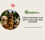 Cómo entrenar a su perro para que sea sociable
