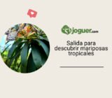 Cómo organizar una salida inmersiva en un parque de atracciones en Normandía sobre las mariposas tropicales