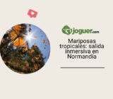 Cómo organizar una salida inmersiva en un parque de atracciones en Normandía sobre las mariposas tropicales