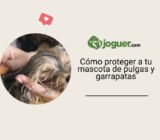 Cómo proteger a tu mascota contra pulgas y garrapatas?