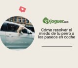 Cómo resolver el miedo de tu perro a los paseos en coche