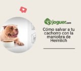 Cómo salvar a tu cachorro con la maniobra de Heimlich