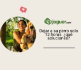 Dejar a su perro solo 12 horas: ¿qué soluciones?