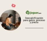 Descalcificación para gatos: cómo se realiza y cuánto cuesta